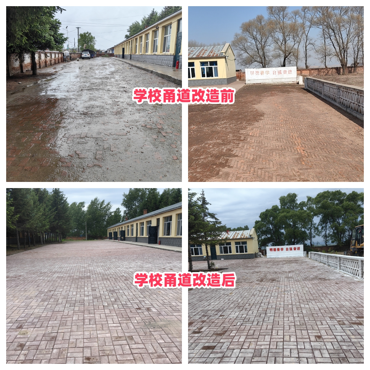 第254所 黑龙江巴彦县黑山镇民乐村必一网页版登录入口侯玉霞学校