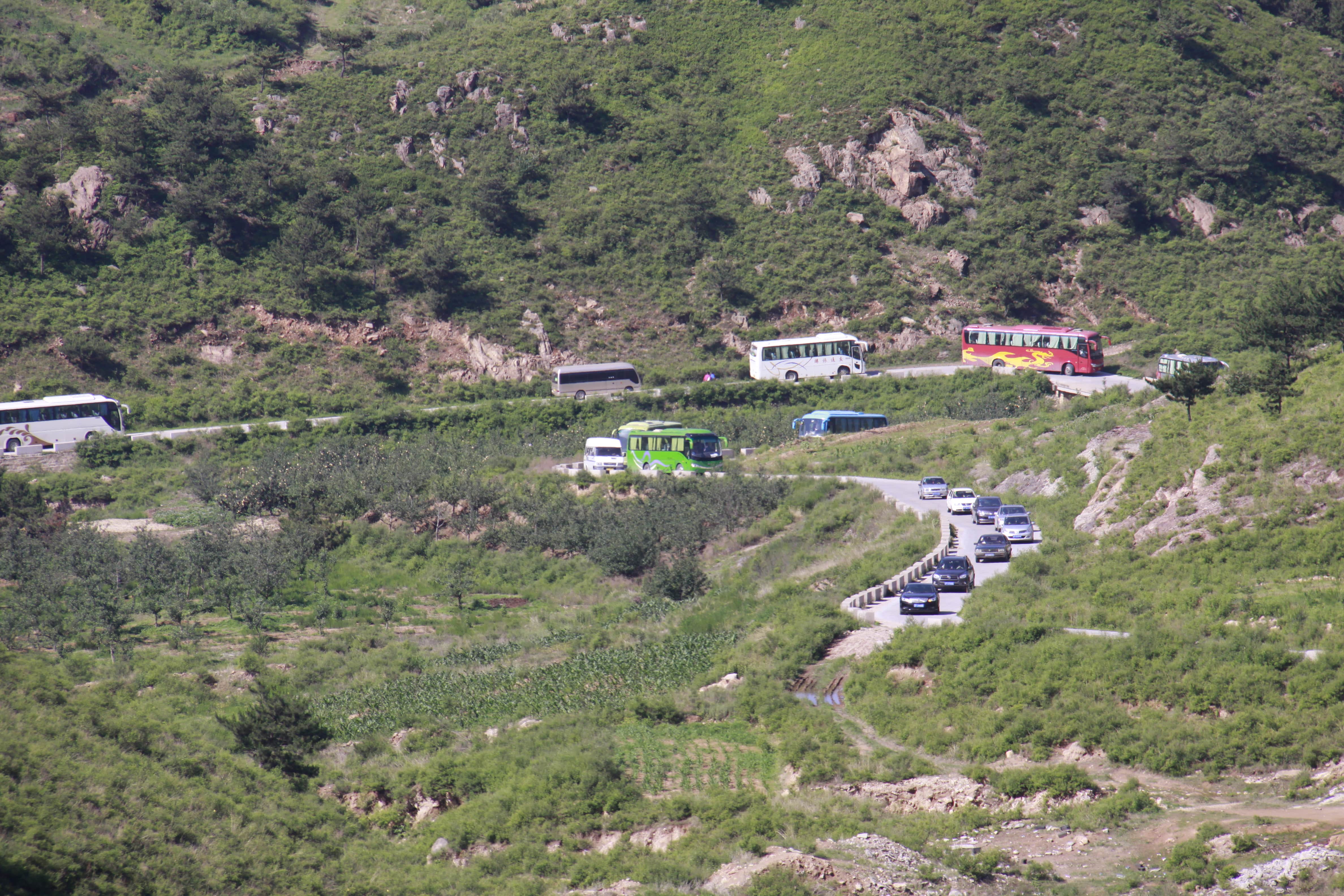 第26所 葫芦岛市永安堡乡必一网页版登录入口张越小学
